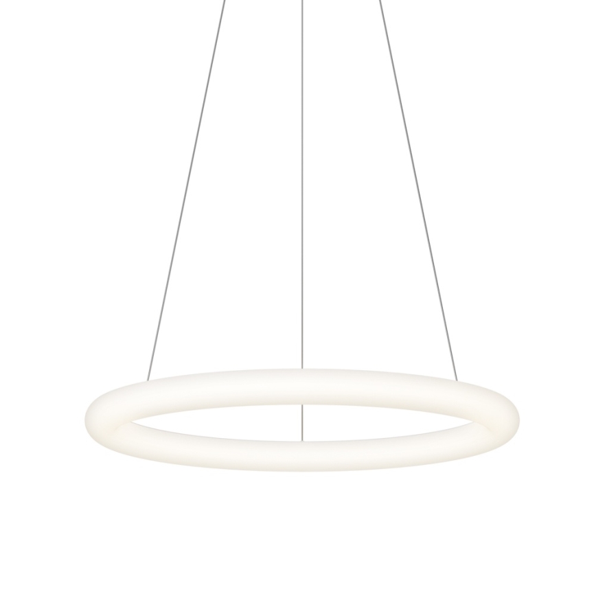 Top Light - LED Stmívatelný lustr na lanku RINGO LED/40W/230V 3000-6500K bílá + dálkové ovládání