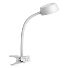 Top Light - LED Stolní lampa s klipem LED/4,5W/230V bílá