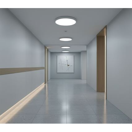 Top Light - LED Stropní svítidlo se senzorem pohybu REVIT LED/9/12/18W/230V 3000/4000/6500K pr. 23 cm bílá