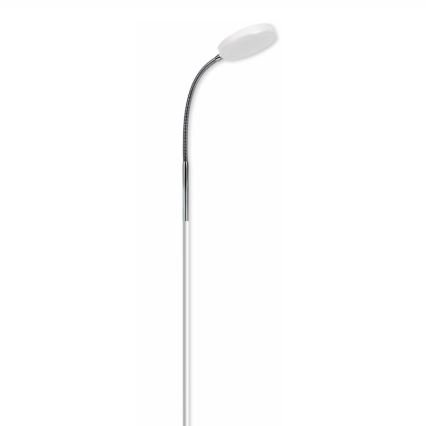 Top Light Lucy P B - Stojací lampa LUCY LED/5W/230V