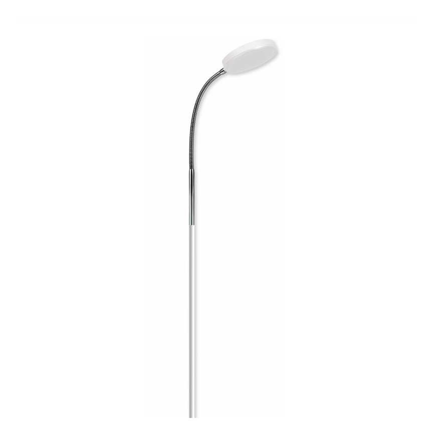 Top Light Lucy P B - Stojací lampa LUCY LED/5W/230V