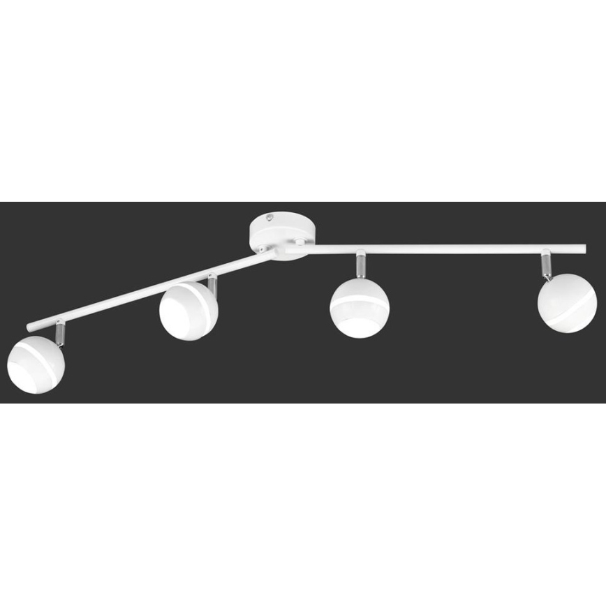 TRIO - LED Bodové svítidlo BALOUBET 4xLED/4W/230V