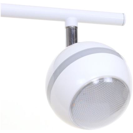 TRIO - LED Bodové svítidlo BALOUBET 4xLED/4W/230V