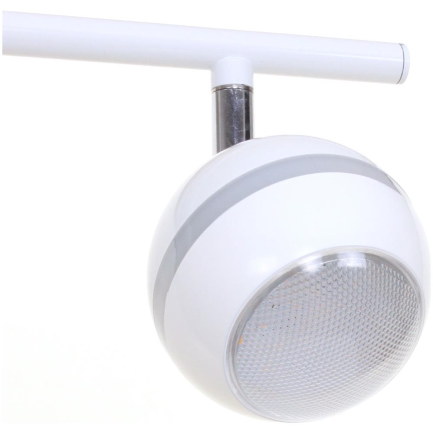 TRIO - LED Bodové svítidlo BALOUBET 4xLED/4W/230V