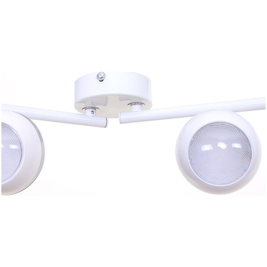 TRIO - LED Bodové svítidlo BALOUBET 4xLED/4W/230V