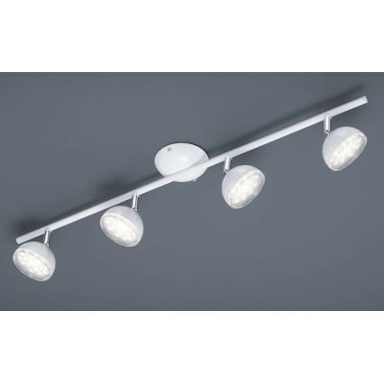 Trio - LED Bodové svítidlo BOLOU 4xLED/3,8W/230V