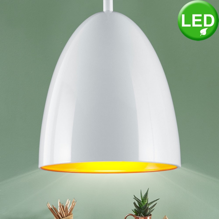 TRIO - LED Lustr na lanku COB LED/6,5W/230V