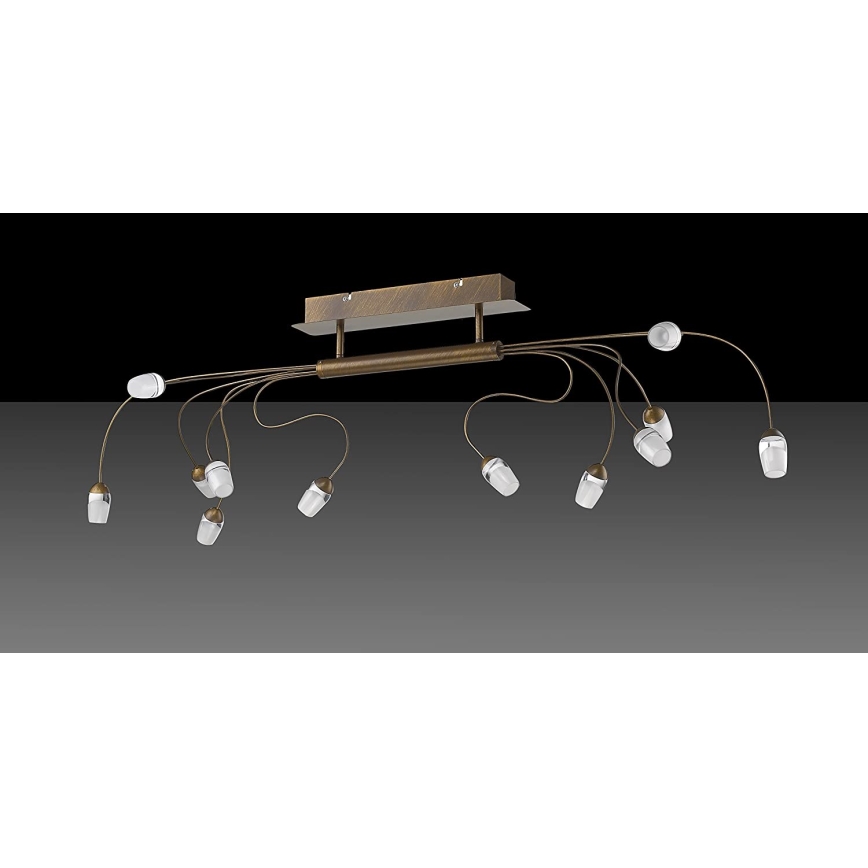 Trio - LED Přisazený lustr SARA 12xLED/2W/230V
