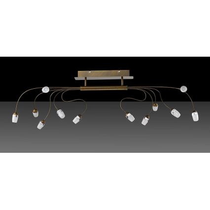 Trio - LED Přisazený lustr SARA 12xLED/2W/230V