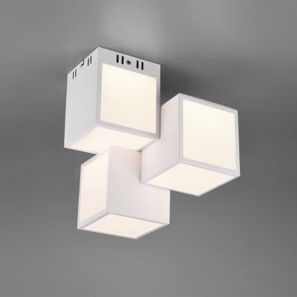 Trio 652810331 - LED RGBW Stmívatelný přisazený lustr OSCAR 3xLED/8W/230V 3000-6000K Wi-Fi + dálkové ovládání