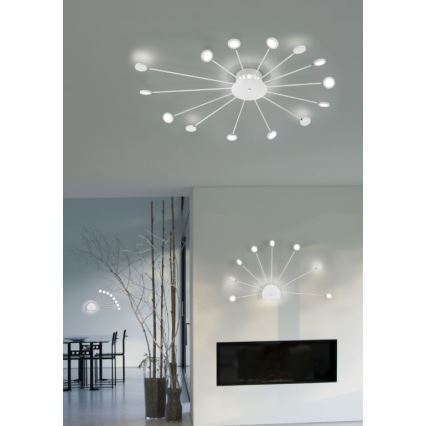 Trio - LED Stmívatelné nástěnné svítidlo PEACOCK 9xLED/2,6W/230V bílá