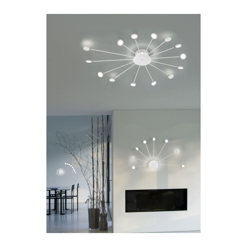 Trio - LED Stmívatelné nástěnné svítidlo PEACOCK 9xLED/2,6W/230V bílá