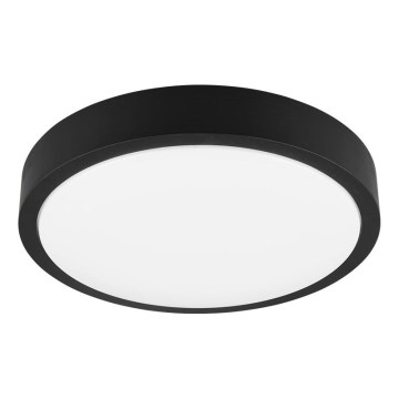 Trio - LED Stmívatelné stropní svítidlo ISEO LED/24W/230V 3000K pr. 40 cm černá