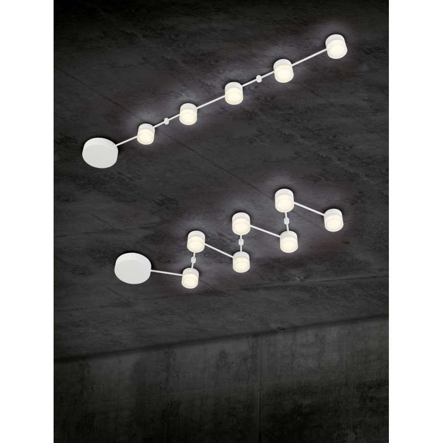 Trio - LED Stmívatelné stropní svítidlo NASHVILLE 7xLED/3W/230V