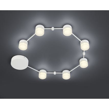 Trio - LED Stmívatelné stropní svítidlo NASHVILLE 7xLED/3W/230V