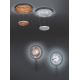 TRIO - LED Stmívatelný lustr na lanku ZENIT 1xLED/19W/230V