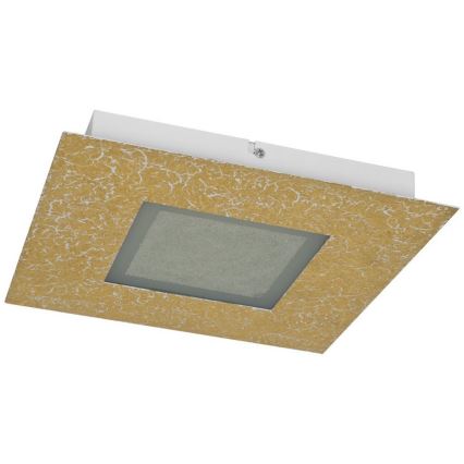 Trio - LED Stropní svítidlo CHIROS LED/12W/230V + LED/3,5W
