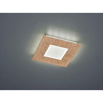Trio - LED Stropní svítidlo CHIROS LED/15,5W/230V