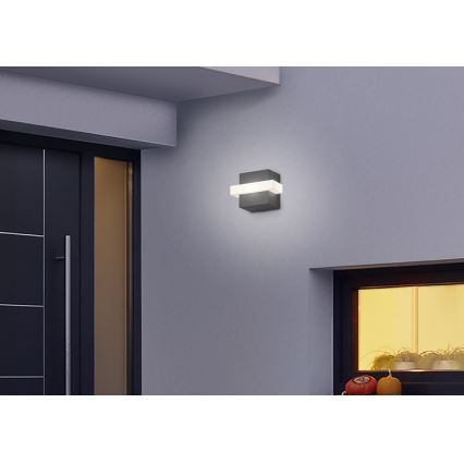 Trio - LED Venkovní nástěnné svítidlo MITCHELL LED/7,5W/230V IP54