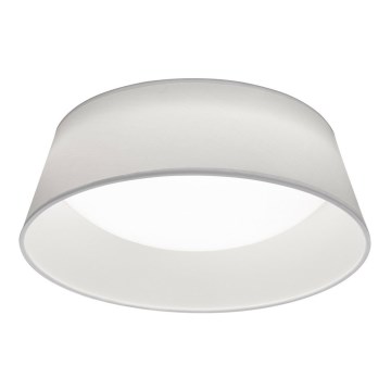 TRIO Reality - LED Stropní svítidlo PONTS 1xLED/14W/230V
