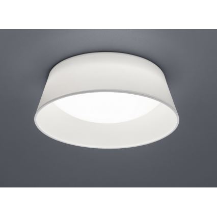 TRIO Reality - LED Stropní svítidlo PONTS 1xLED/14W/230V