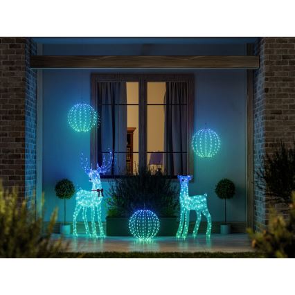 Twinkly - LED RGBW Stmívatelný venkovní vánoční sob REINGEERS 250xLED IP44 Wi-Fi