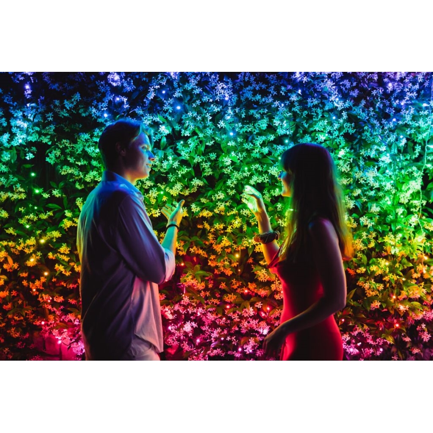 Twinkly - LED RGB Stmívatelný venkovní vánoční řetěz STRINGS 600xLED 51,5m IP44 Wi-Fi
