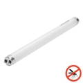 UV Zářivková trubice pro lapač hmyzu G13/10W/230V 36,5 cm - BRILAGI