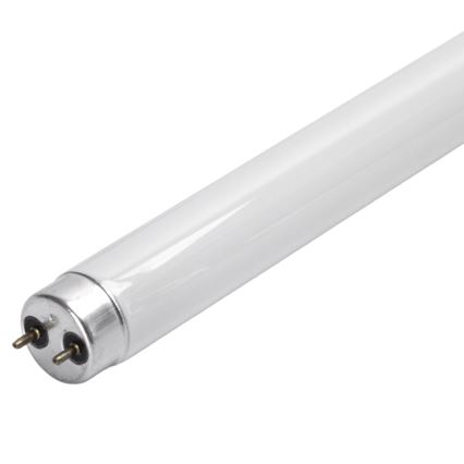 UV Zářivková trubice pro lapač hmyzu G13/10W/230V 36,5 cm - BRILAGI