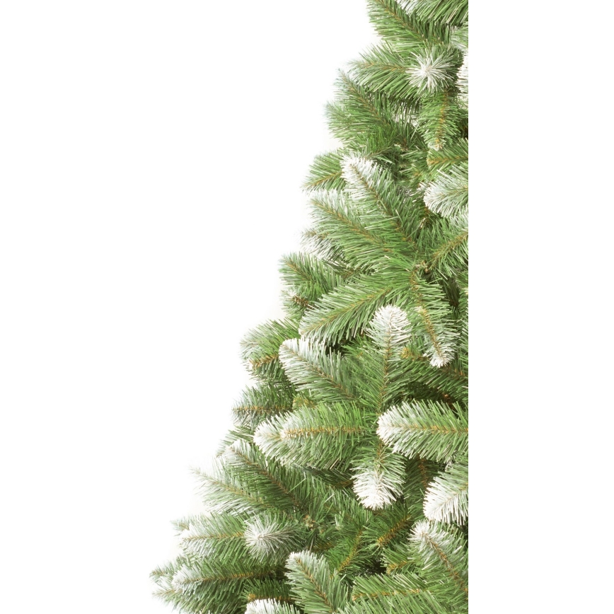Vánoční stromek 250 cm borovice