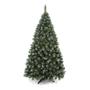 Vánoční stromek 250 cm borovice