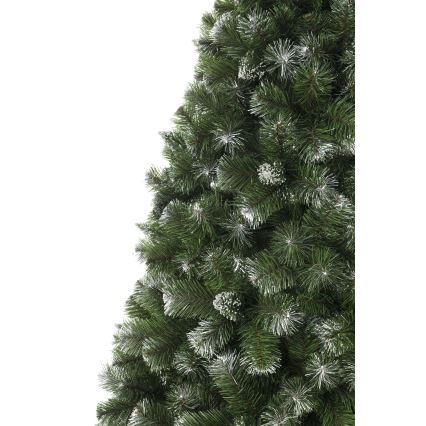 Vánoční stromek 250 cm borovice
