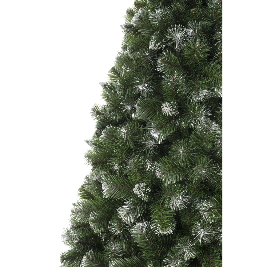 Vánoční stromek 250 cm borovice