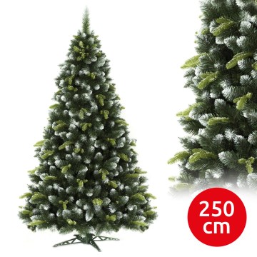 Vánoční stromek 250 cm borovice