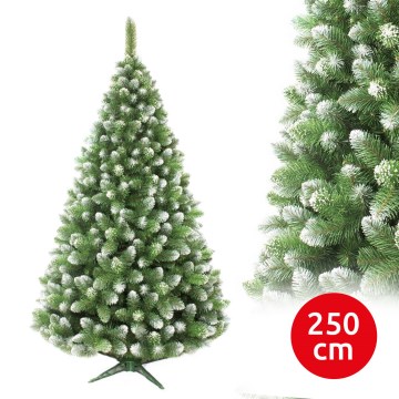 Vánoční stromek 250 cm borovice