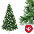 Vánoční stromek 250 cm jedle