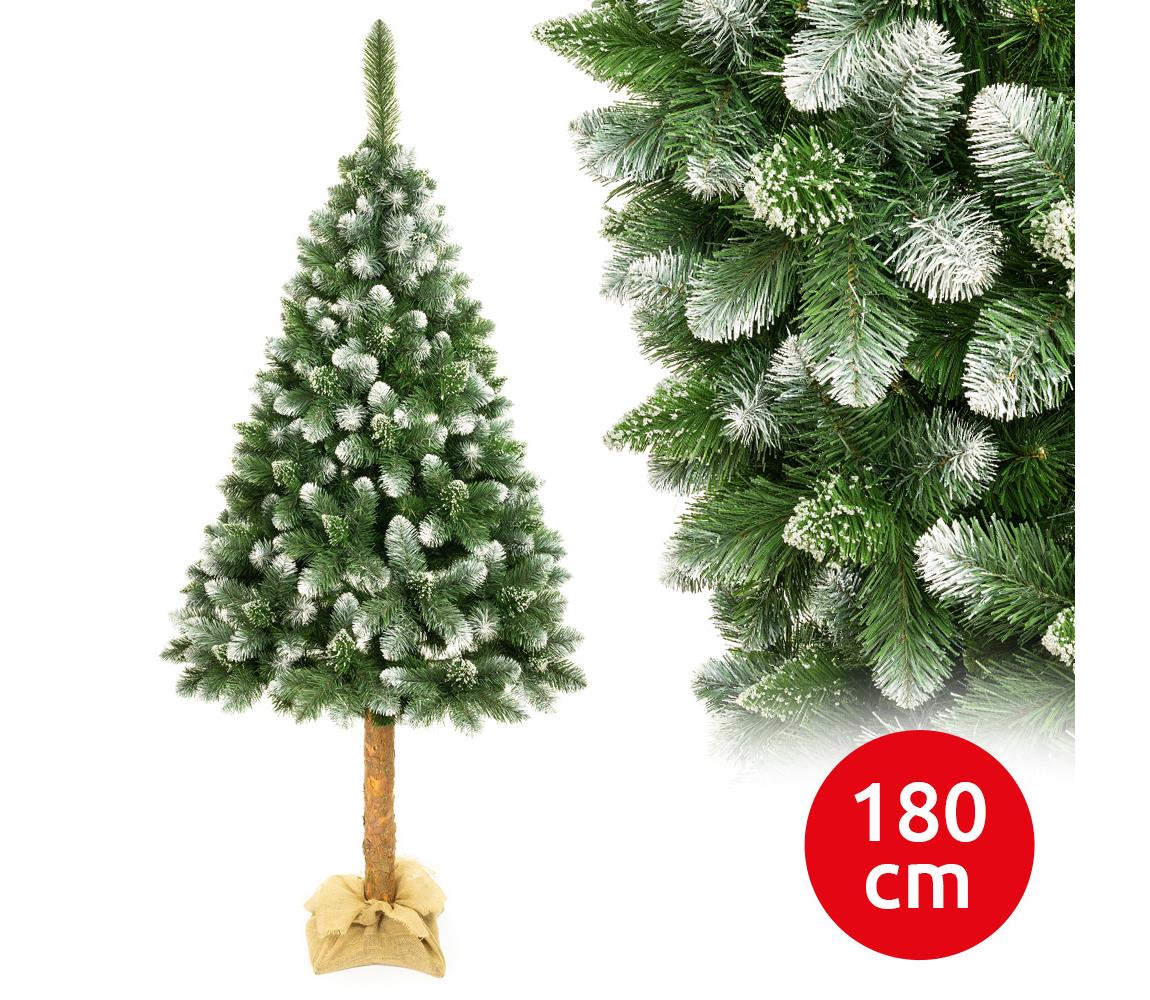  Vánoční stromek na kmenu 180 cm borovice 