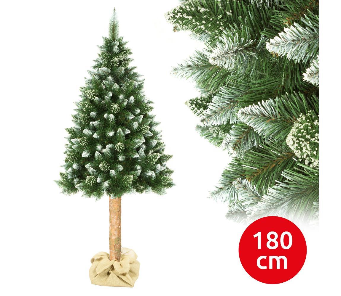  Vánoční stromek na kmenu 180 cm borovice 