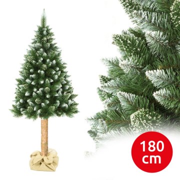Vánoční stromek na kmenu 180 cm borovice