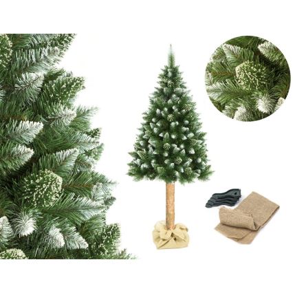 Vánoční stromek na kmenu 180 cm borovice