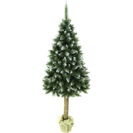 Vánoční stromek na kmenu 180 cm jedle