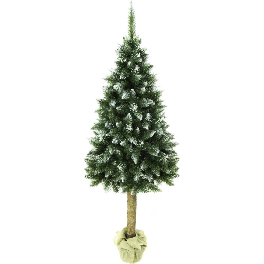 Vánoční stromek na kmenu 180 cm jedle