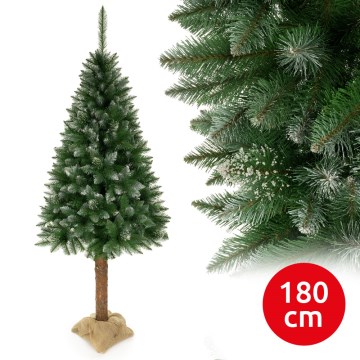 Vánoční stromek na kmenu 180 cm smrk