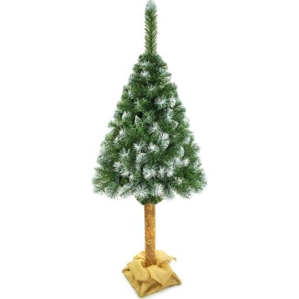Vánoční stromek na kmenu 220 cm borovice