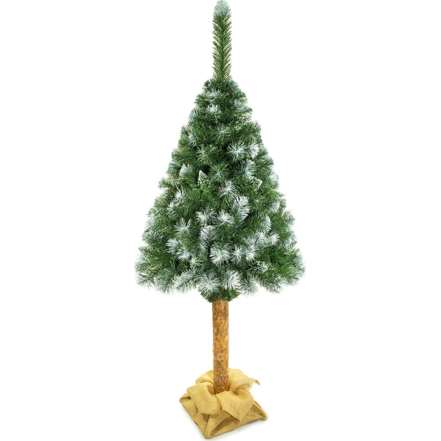 Vánoční stromek na kmenu 220 cm borovice