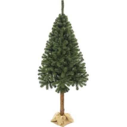 Vánoční stromek na kmenu 220 cm jedle