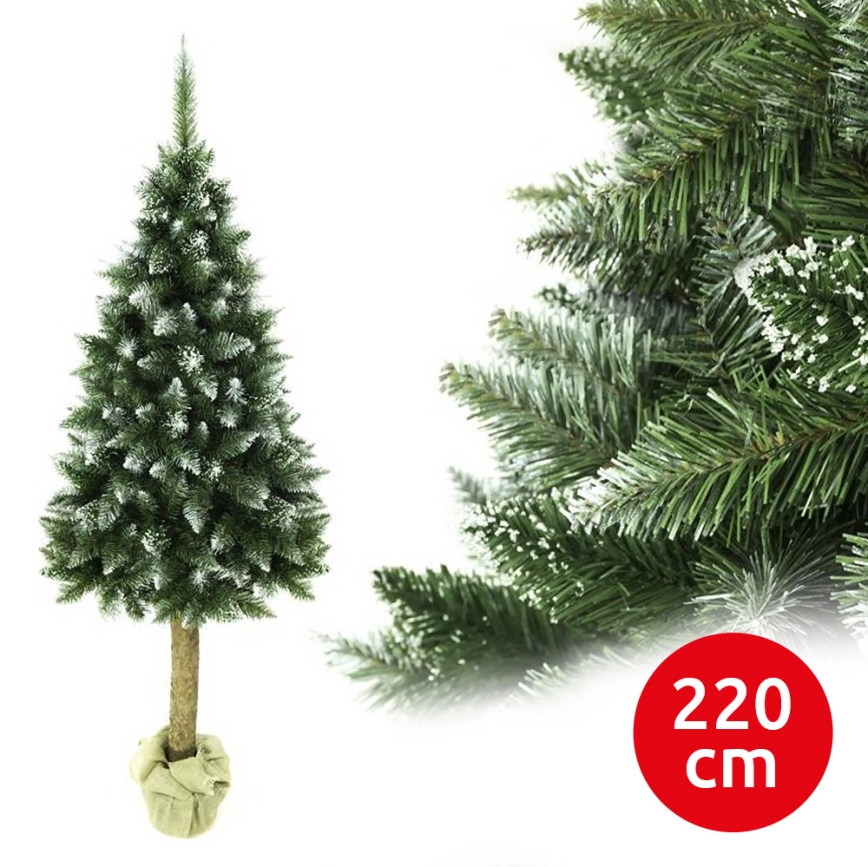 Vánoční stromek na kmenu 220 cm jedle