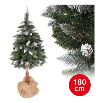 Vánoční stromek PIN 180 cm borovice