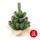 Vánoční stromek XMAS TREES 30 cm borovice