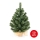 Vánoční stromek XMAS TREES 50 cm borovice